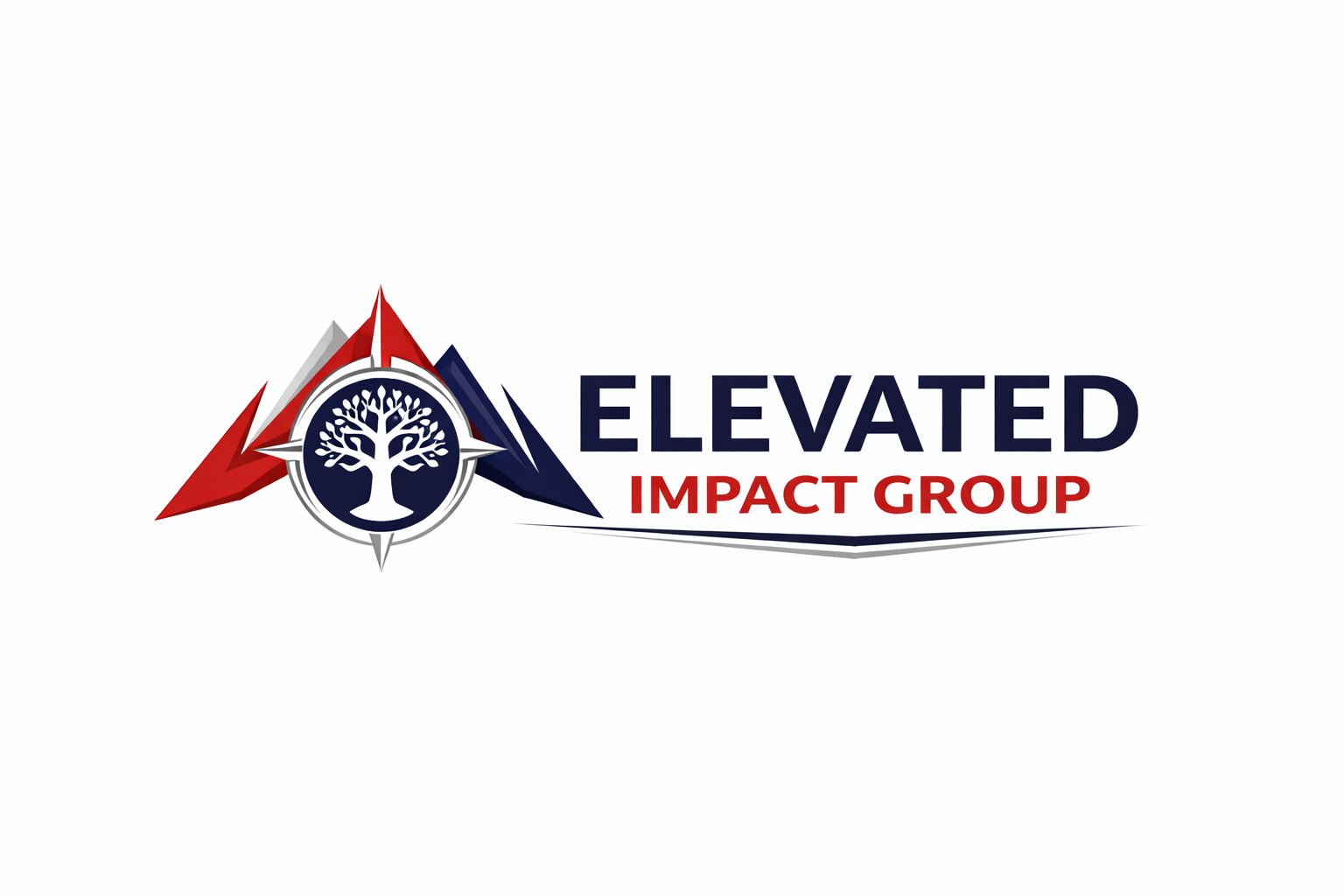 Elevated Impact Group